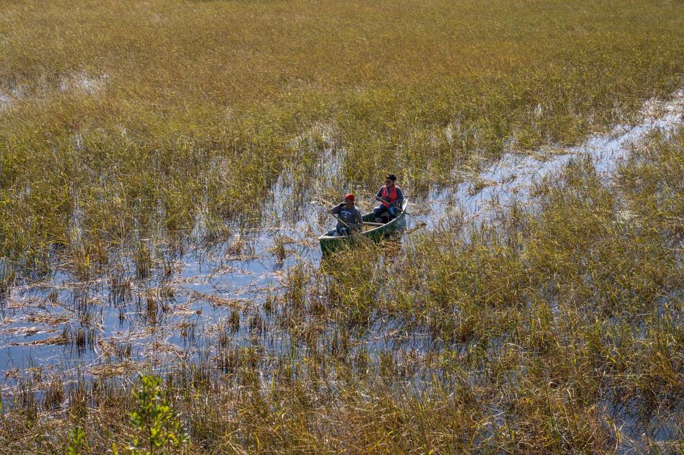 Why Indigenous women are risking arrest to fight Enbridge’s Line 3 pipeline through Minnesota 2 wild rice tribes minnesota line 3 pipeline