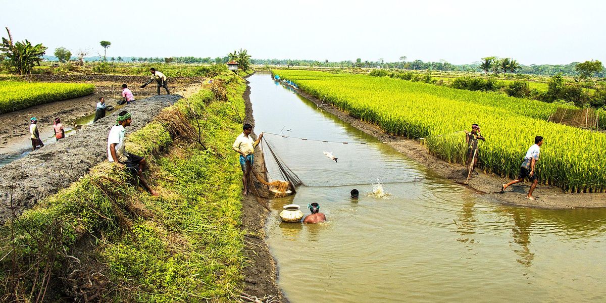 El agua como armamento en el sur de Asia 1 El agua como armamento en el sur de Asia