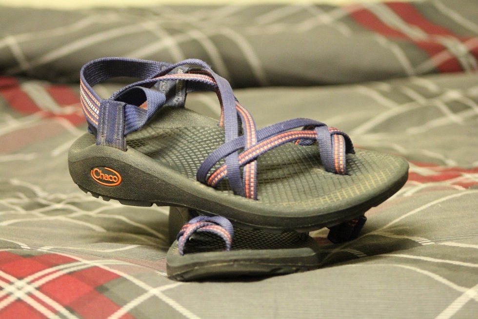 famous footwear chacos