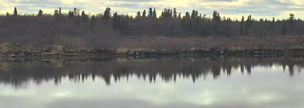 obraz rzeki Nahnek w Parku Narodowym Katmai na Alasce, w którym przez cały rok trenowana jest kamera internetowa NA ŻYWO.