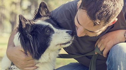 犬もやきもちを焼く Consumer Health News Healthday