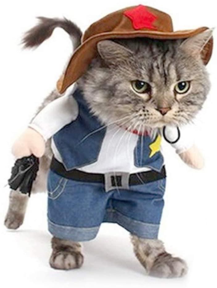 cat ups costume