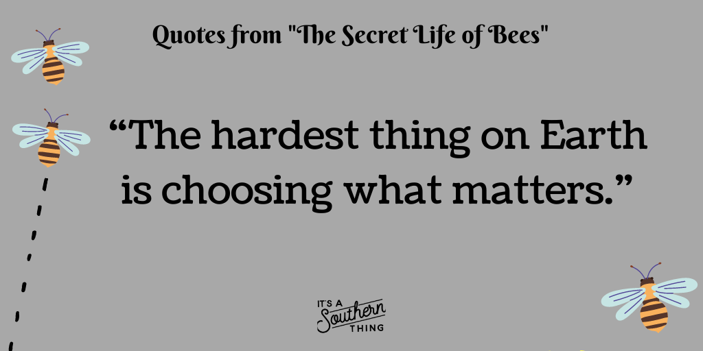 Secret Life Of Bees Quotes With Page Numbers 15 &#39;The Secret Life Of Bees&#39; Quotes We Love - It&#39;S A Southern  Thing