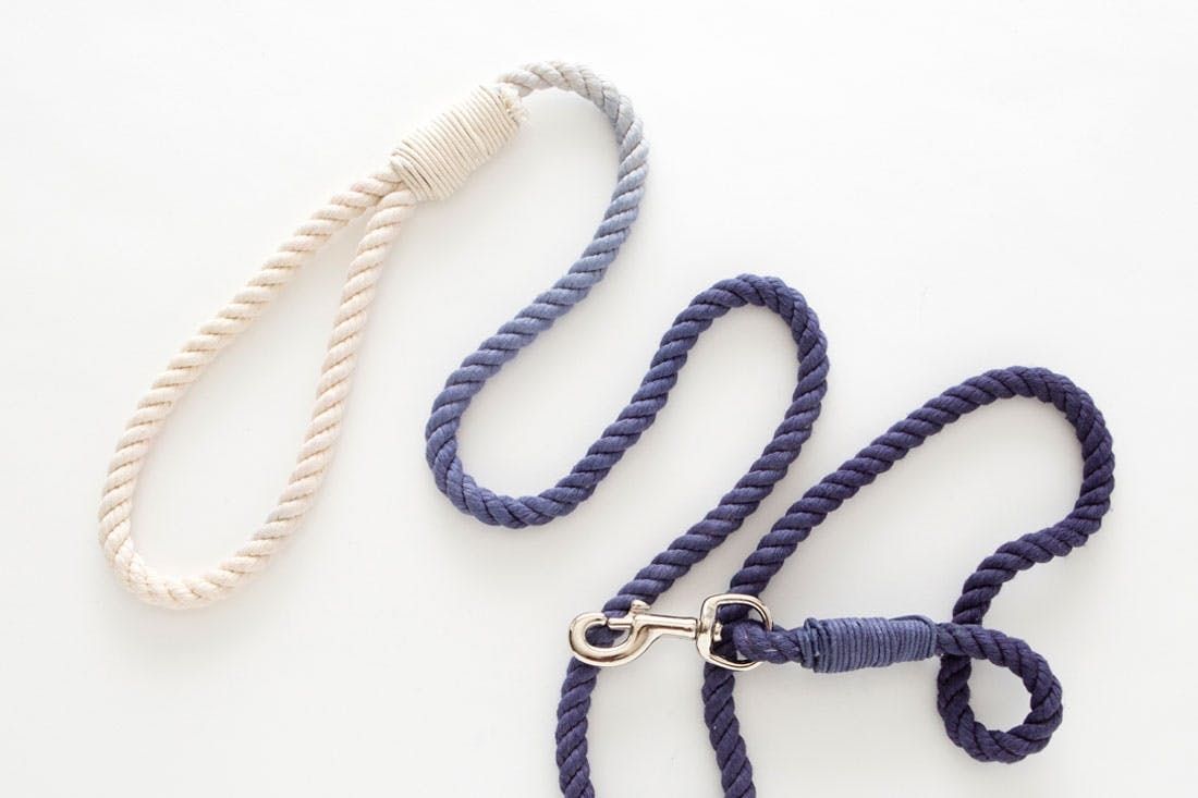 Diy This Ombre Rope Leash For Your Stylish Pup Brit Co