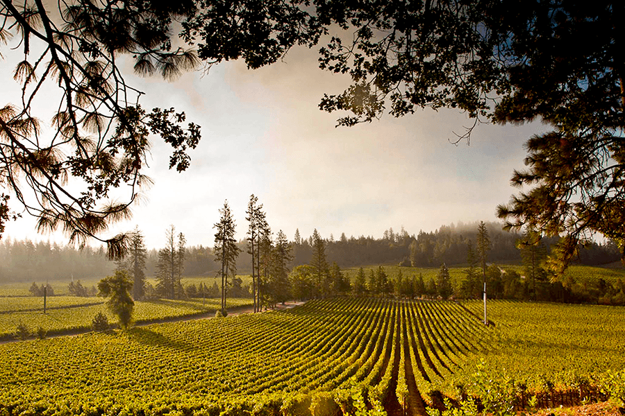 Blue Note Jazz Festival in Napa Valley 