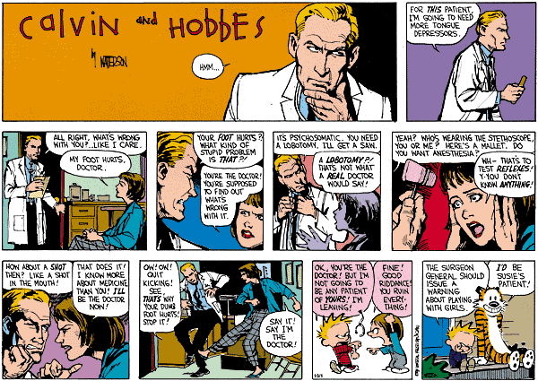The 7 Best Calvin And Hobbes Strips - Popdust