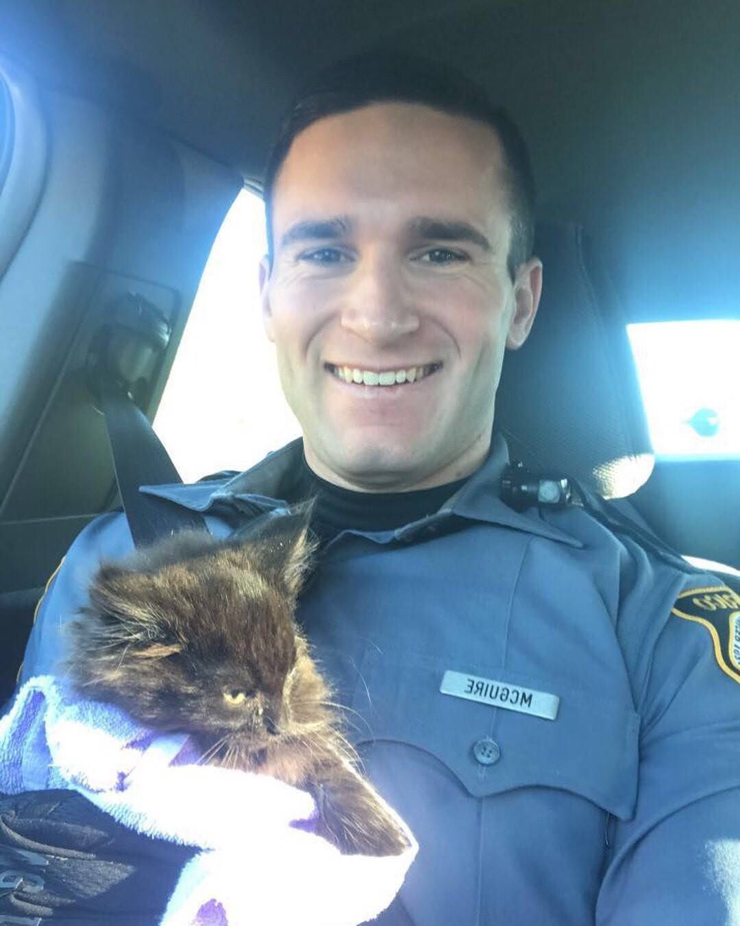 Officer Calms Frightened Kitten With Kitty Voice After Rescuing