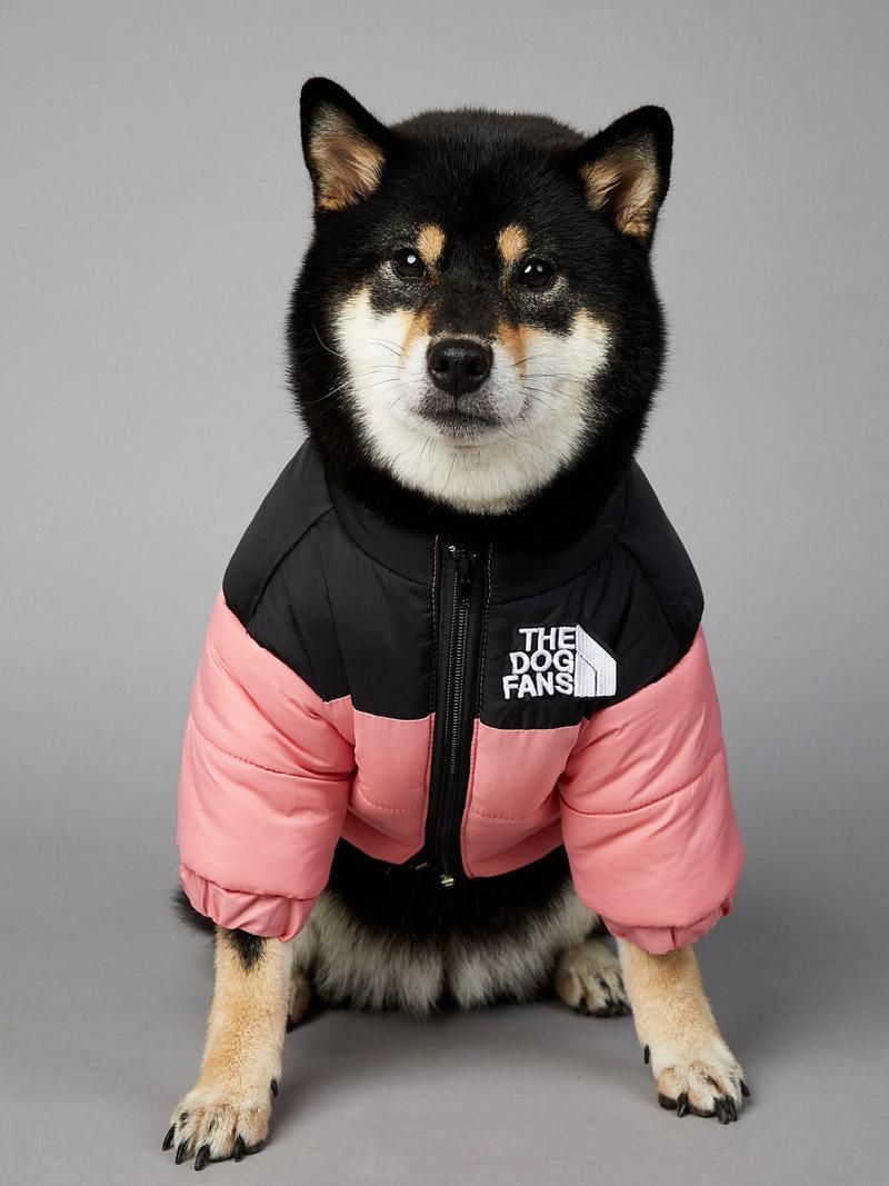 Cute And Colorful Dog Winter Clothes - Brit + Co