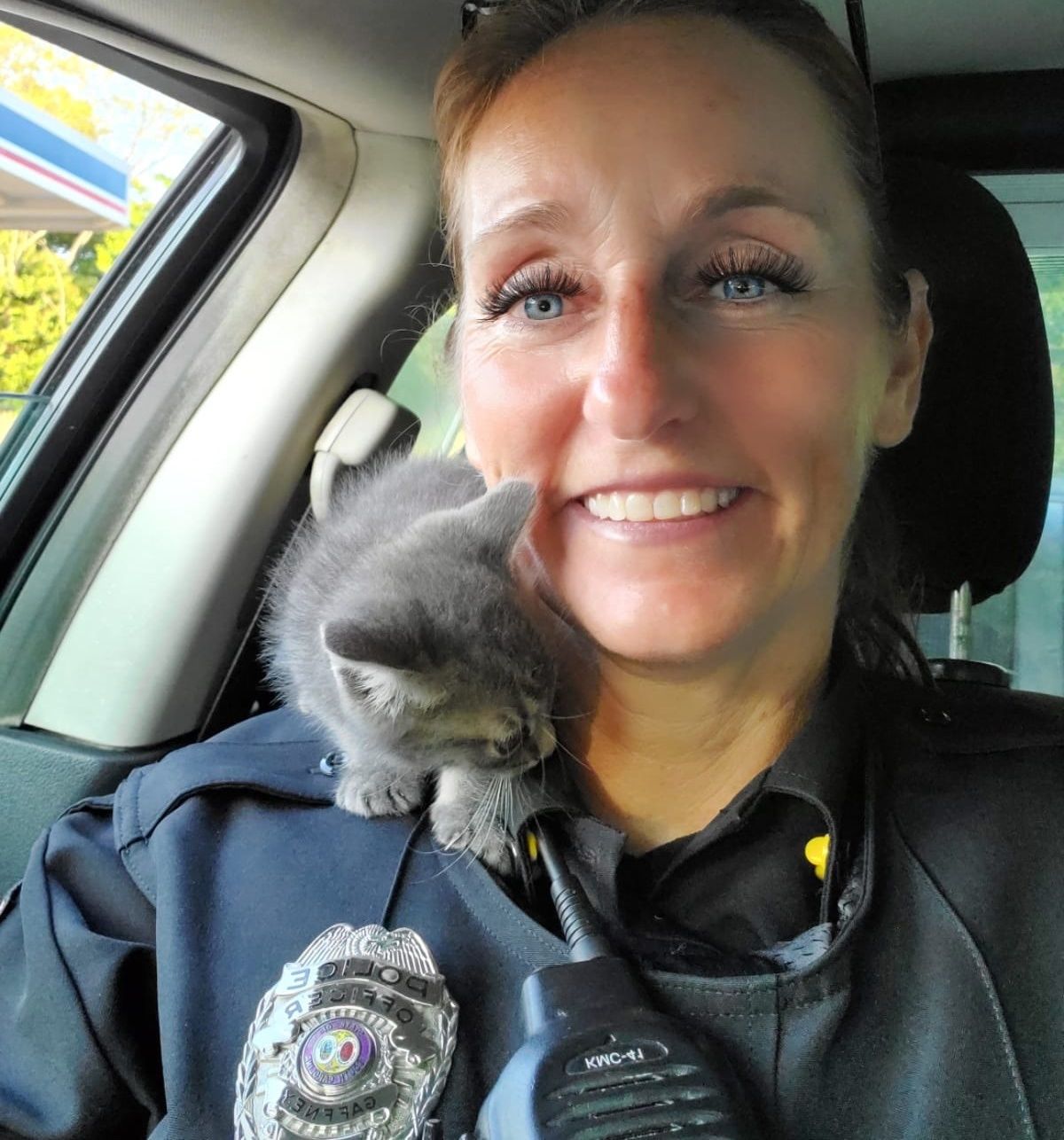 Kitten adopted by Charleston police officer who saved her from car
