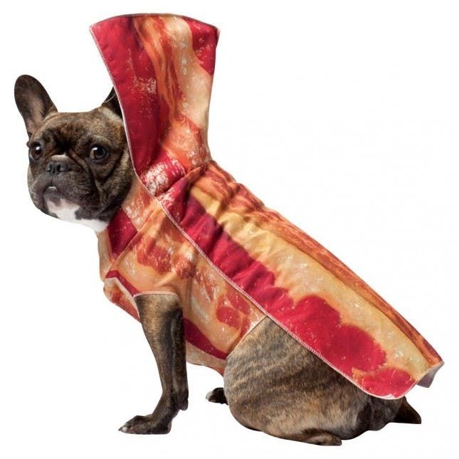 33 Most Adorable Dog Outfits You Can Buy Now — Best Life