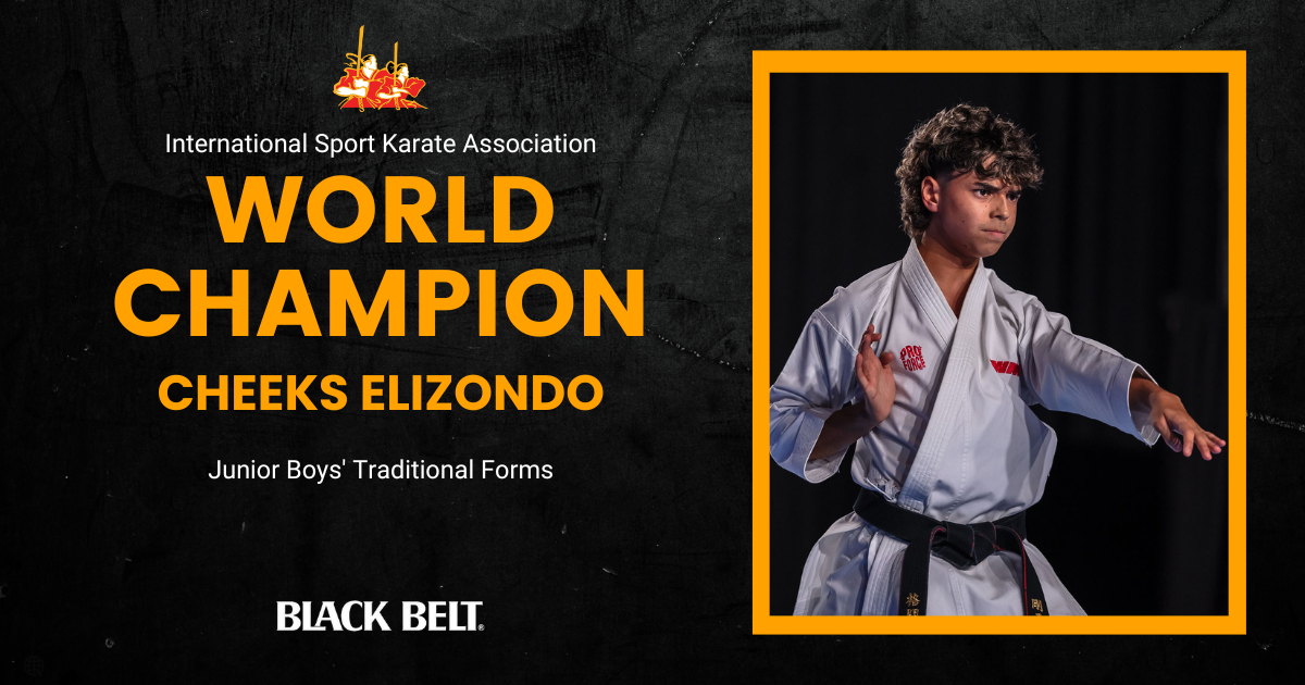 Mejishi Martial Arts - A Collection Of Black Belt Essays