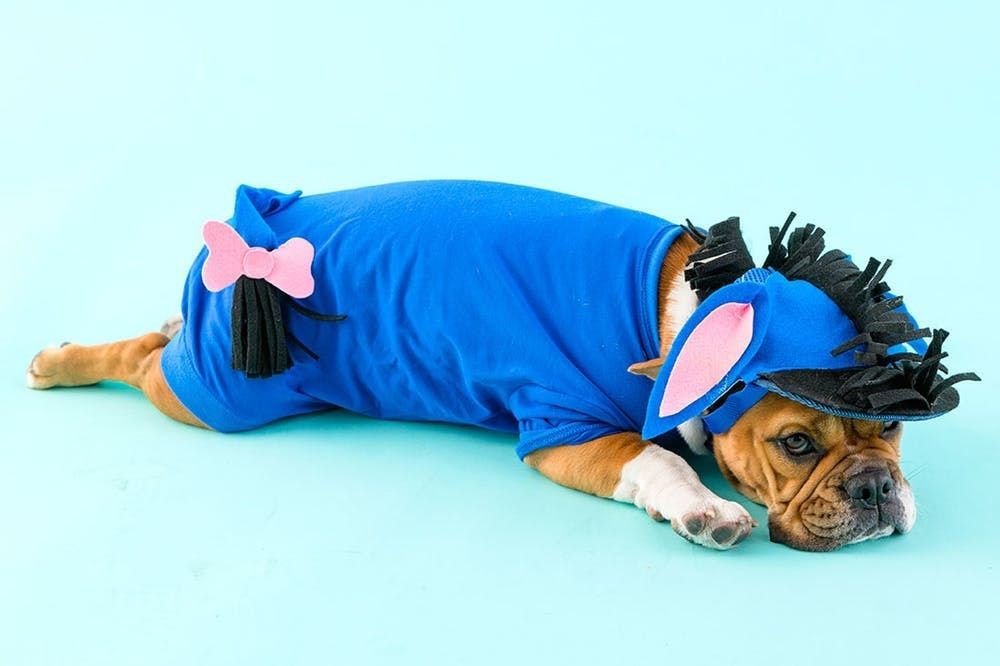 DIY Beanie Baby Costume For Dogs - Brit + Co