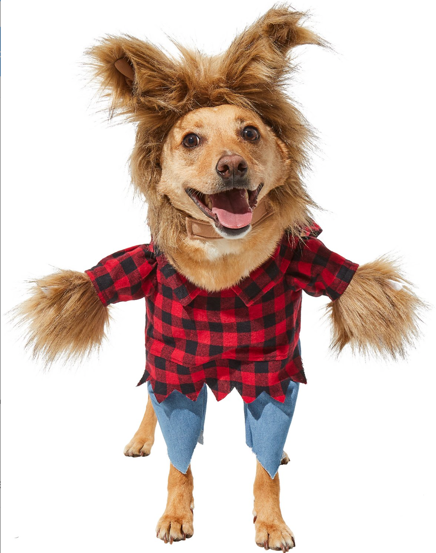 100 Genius Pet Halloween Costumes - Brit + Co