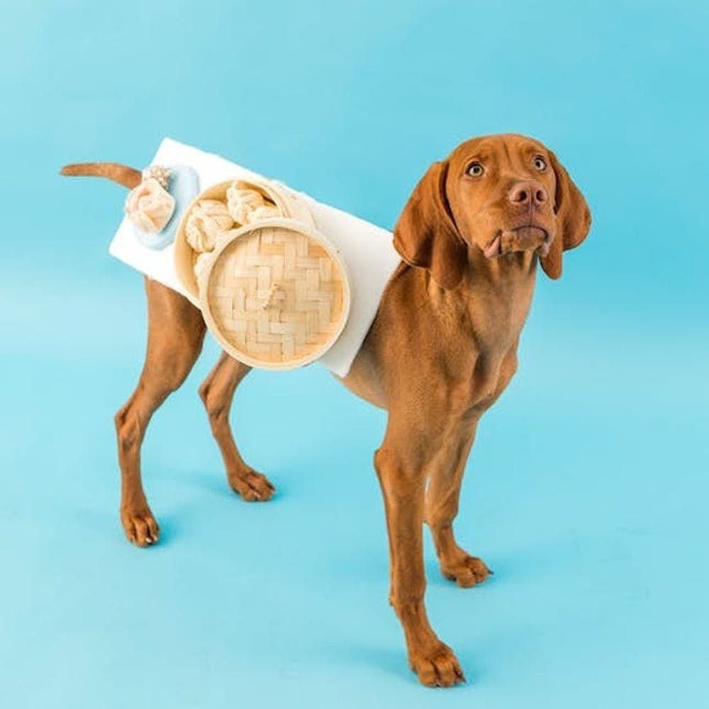 beanie baby dog costume