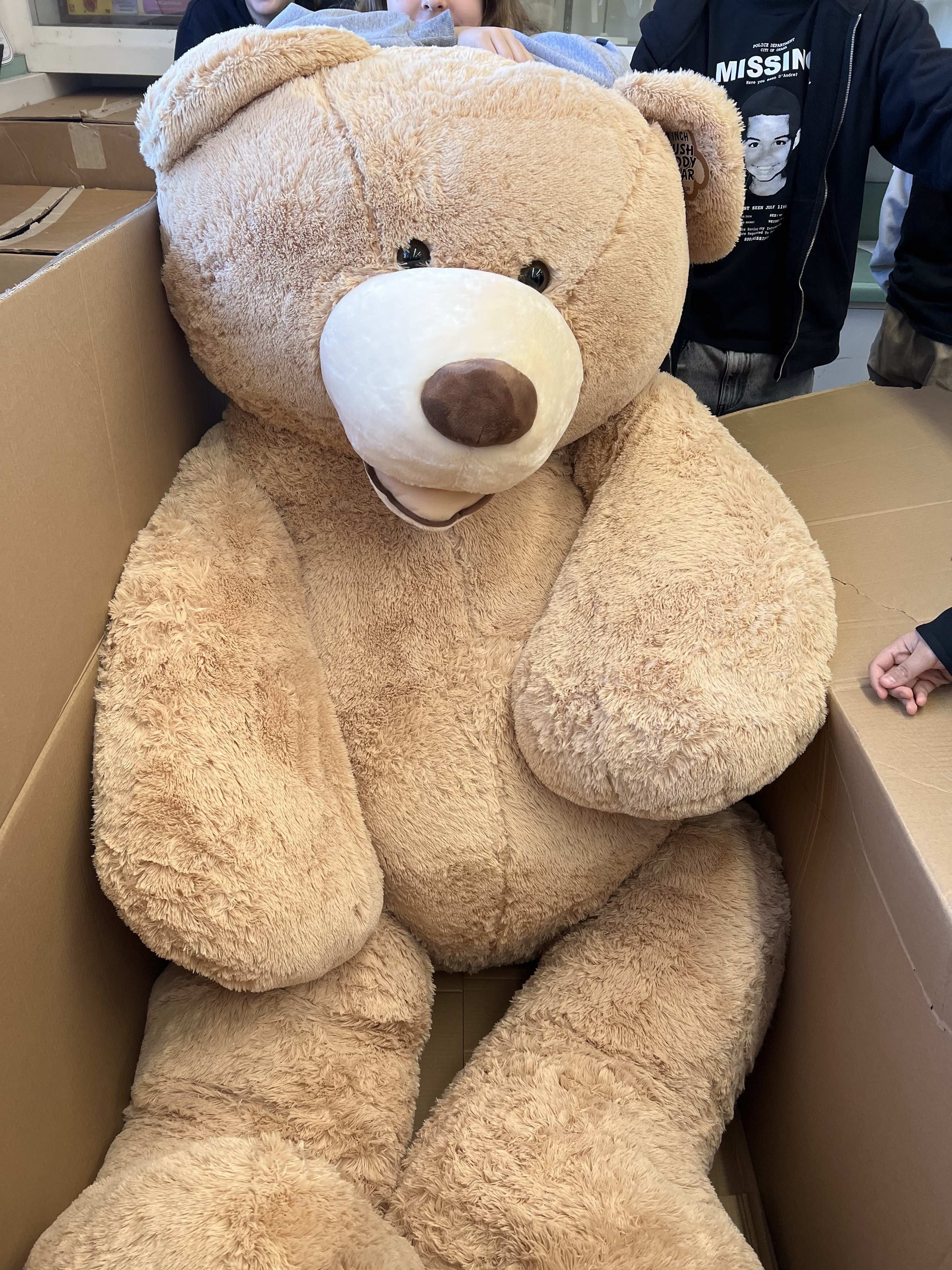 10 ft teddy bear costco