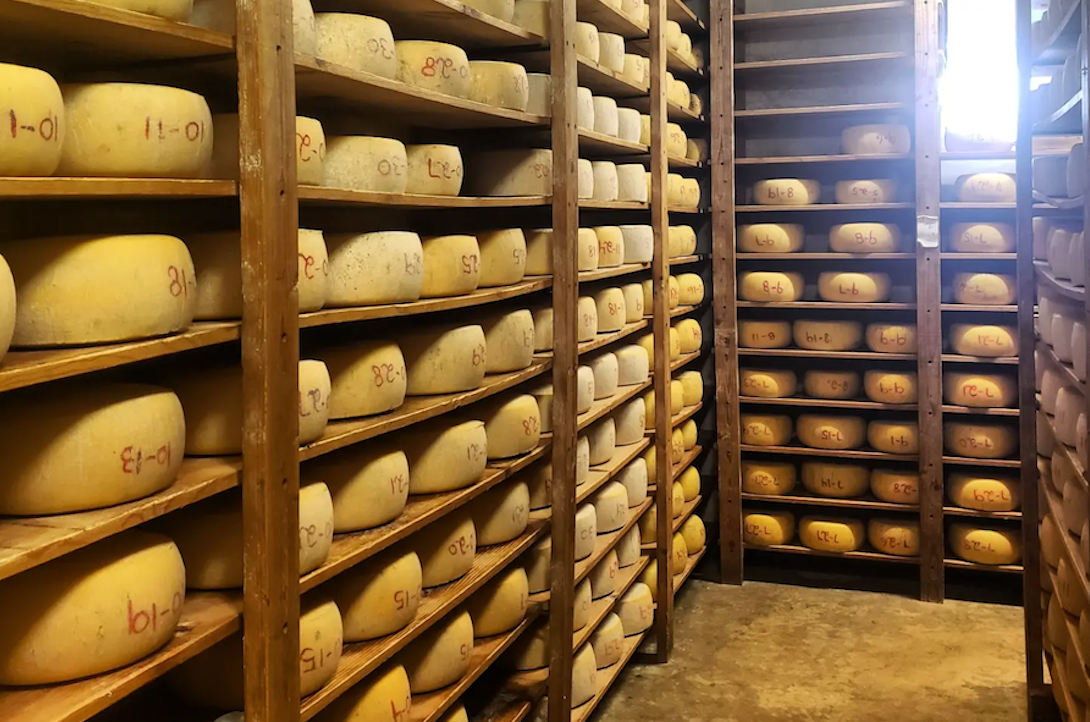 Cheesemaker tours are a tasty endeavor in northern California