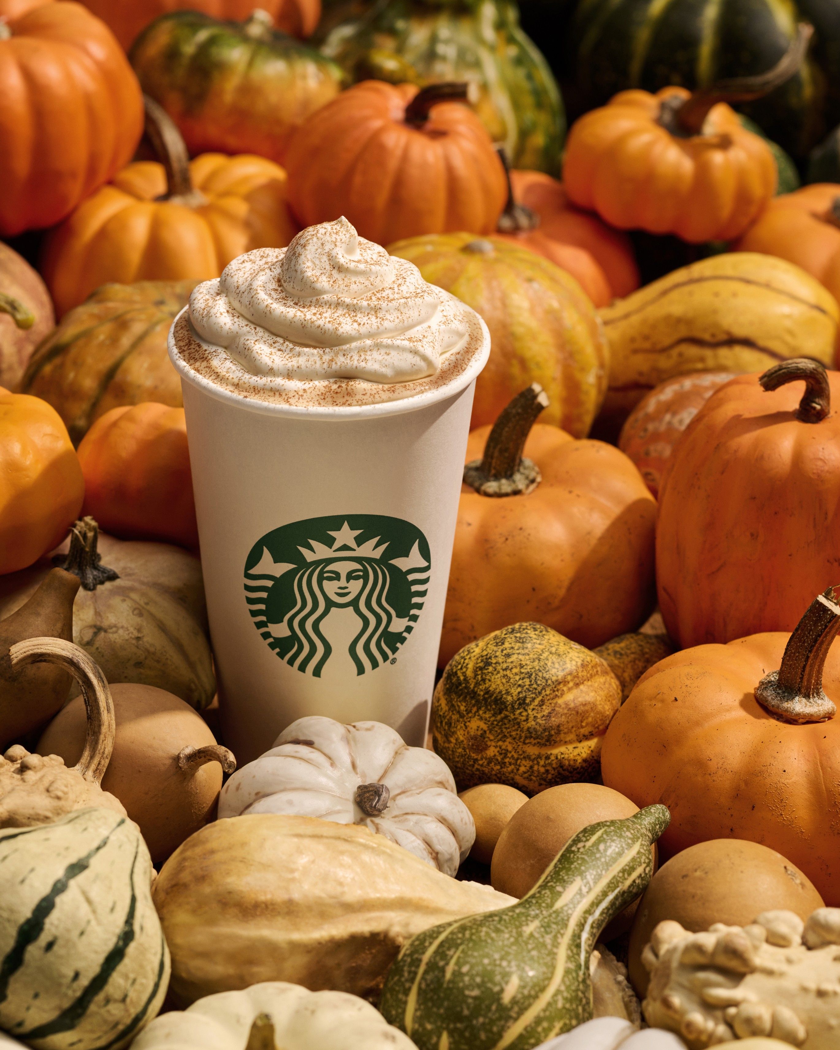 Personalized Fall Starbucks Reusable Cup, Fall Starbucks Cold Cup, Pumpkin  Spice Cup, Fall Tumbler, Pumpkin Cold Brew, Fall Leaves Tumbler 