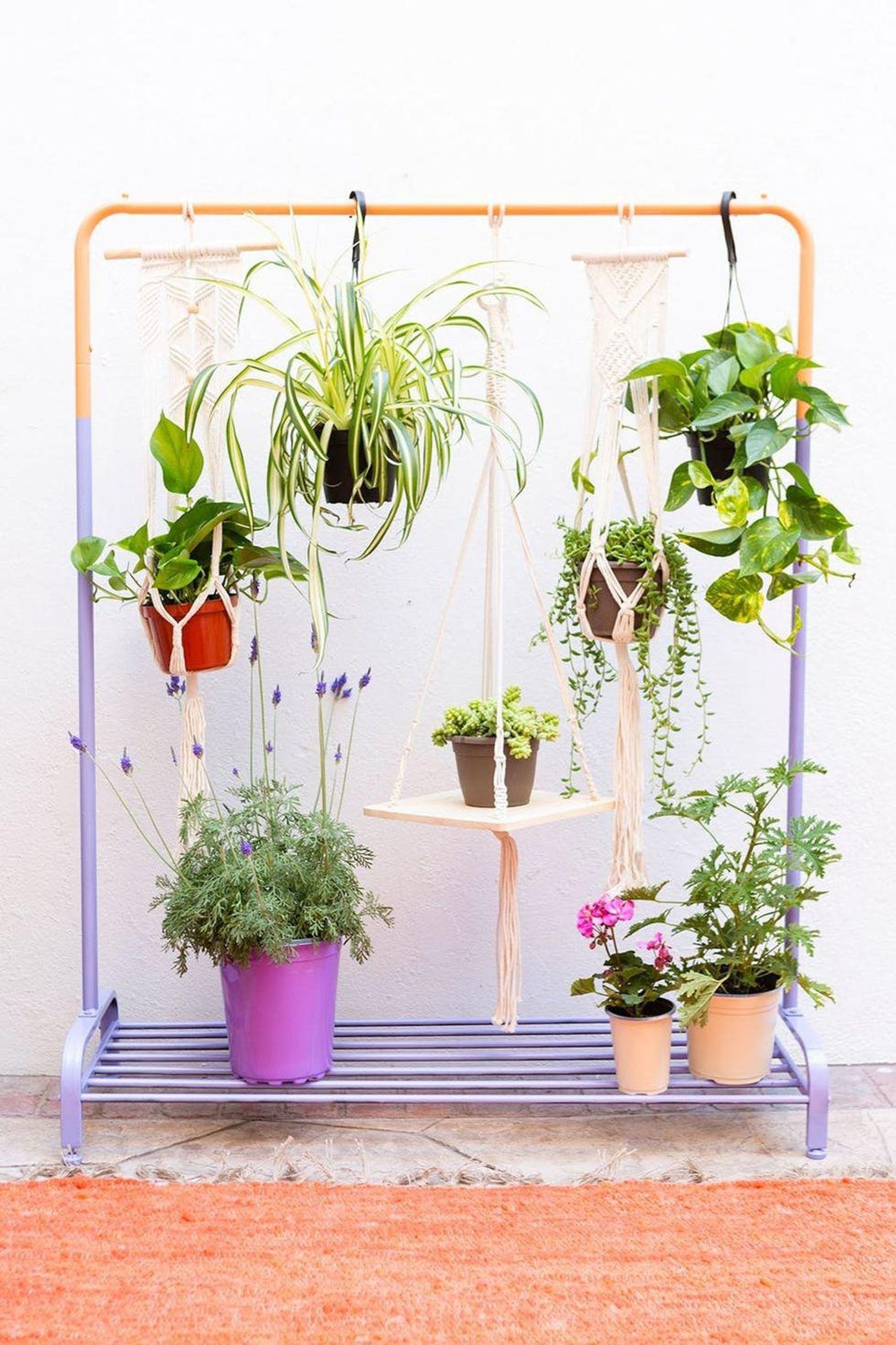 Coat rack discount for hanging plants