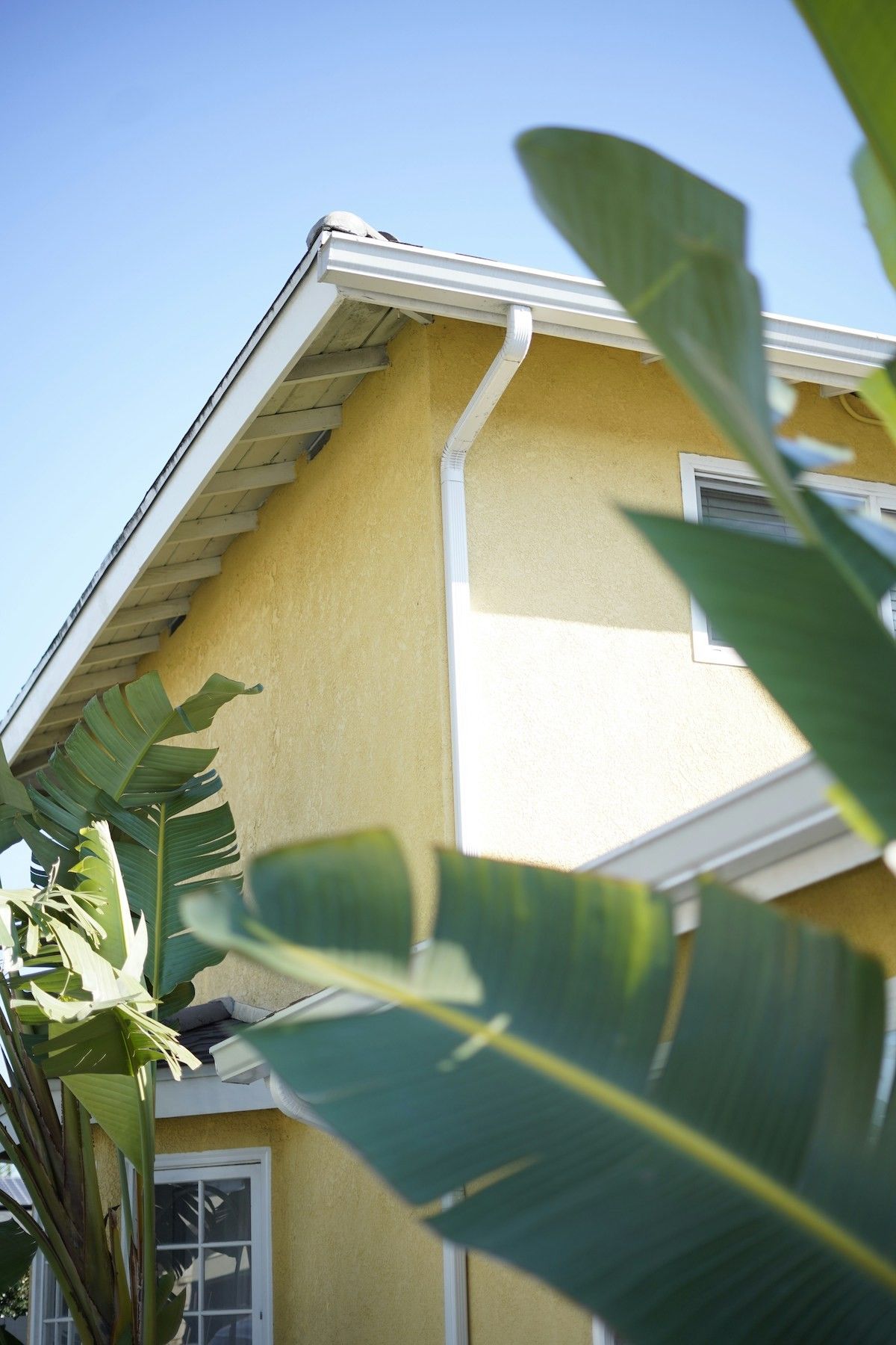 Banana beauty masks and vinegar bug spray: How to use expired food around  the house