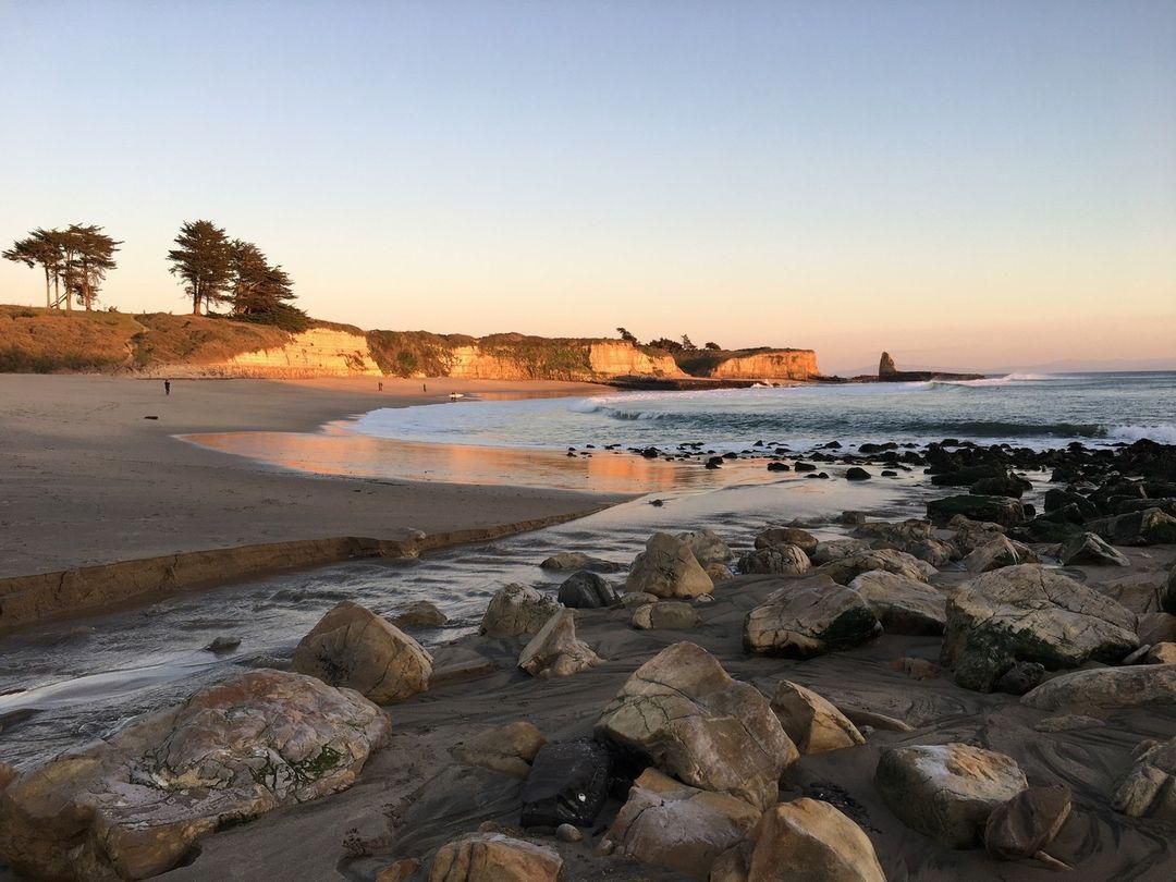 Modern Guide to Santa Cruz Beach Eats Surf Style Breweries on