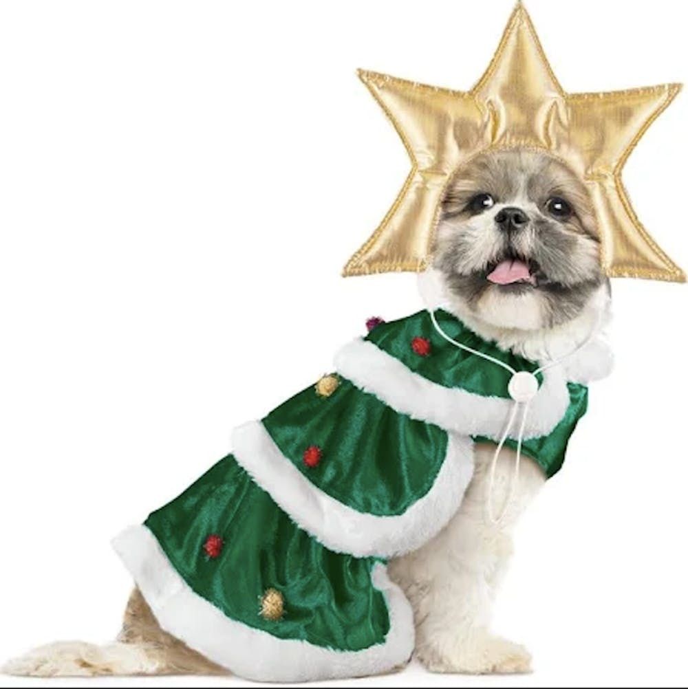 Diy dog shop christmas costumes