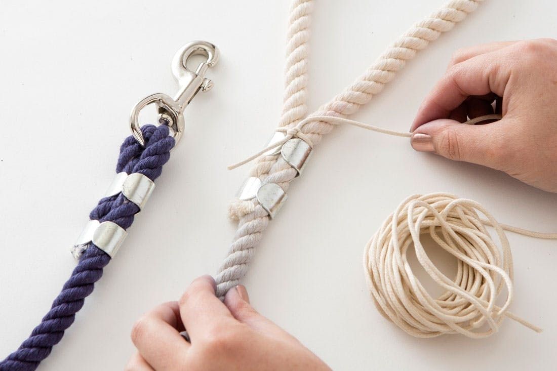 DIY This Ombre Rope Leash for Your Stylish Pup Brit Co