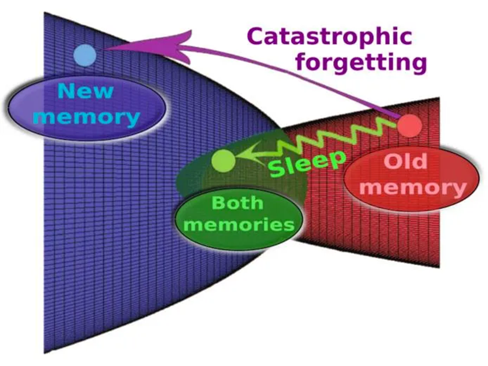 Memory and Forgetting - ZNetwork