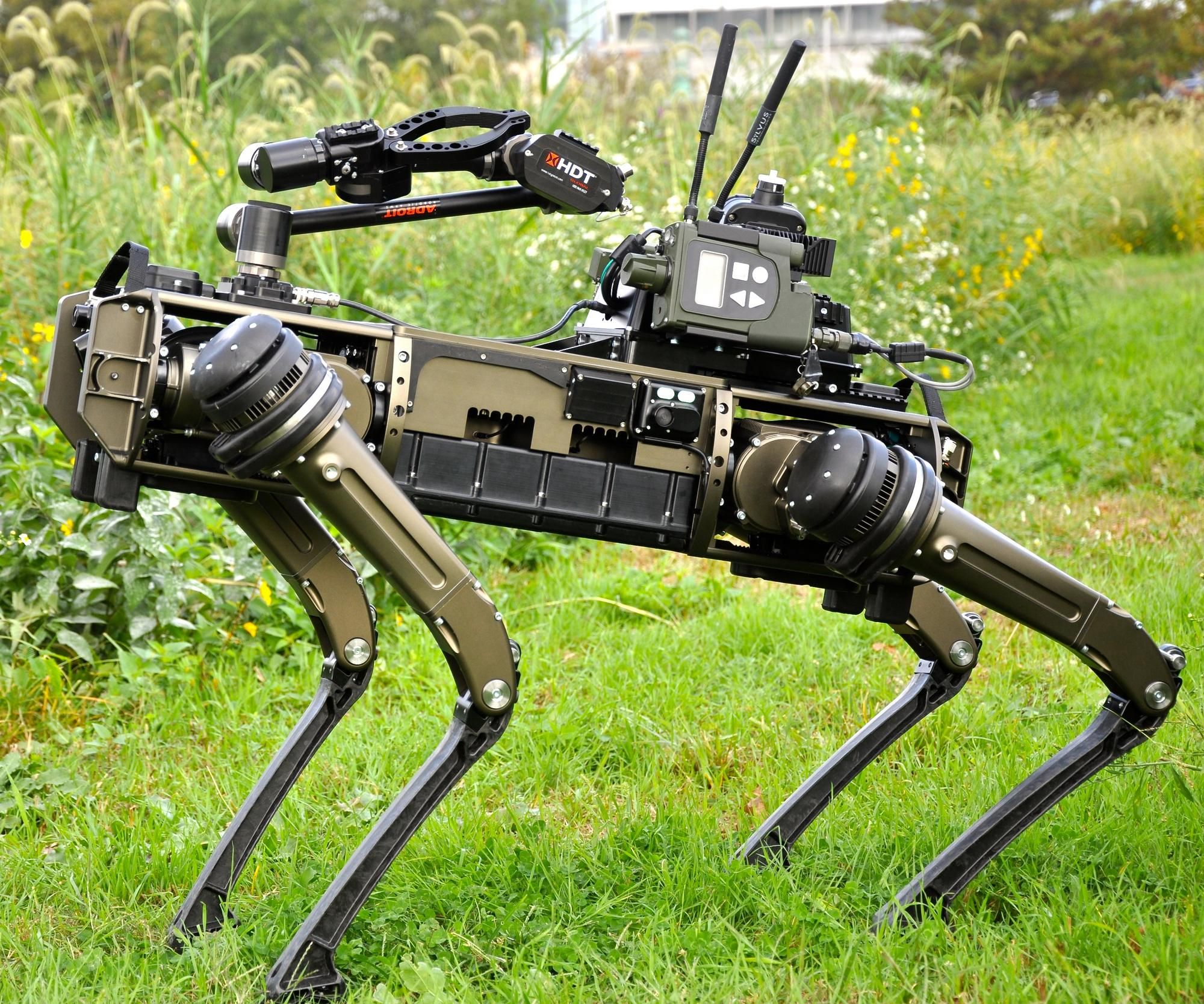 Ghost Robotics: US military may get armed dog-like robot with