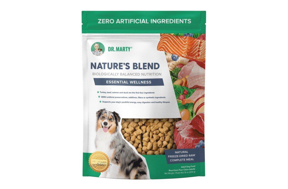 Healthiest dry outlet food for dogs