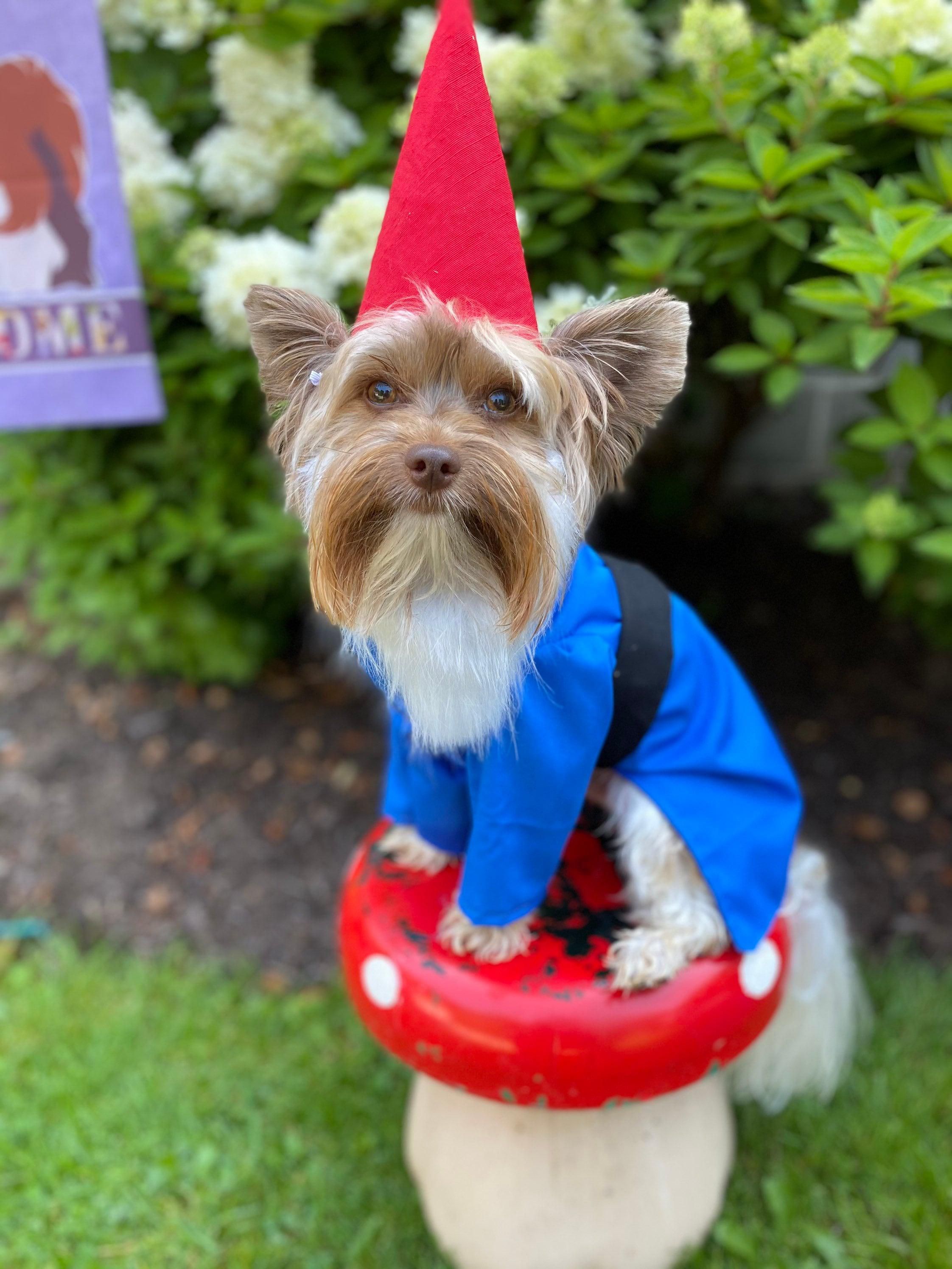 Goomba dog clearance costume