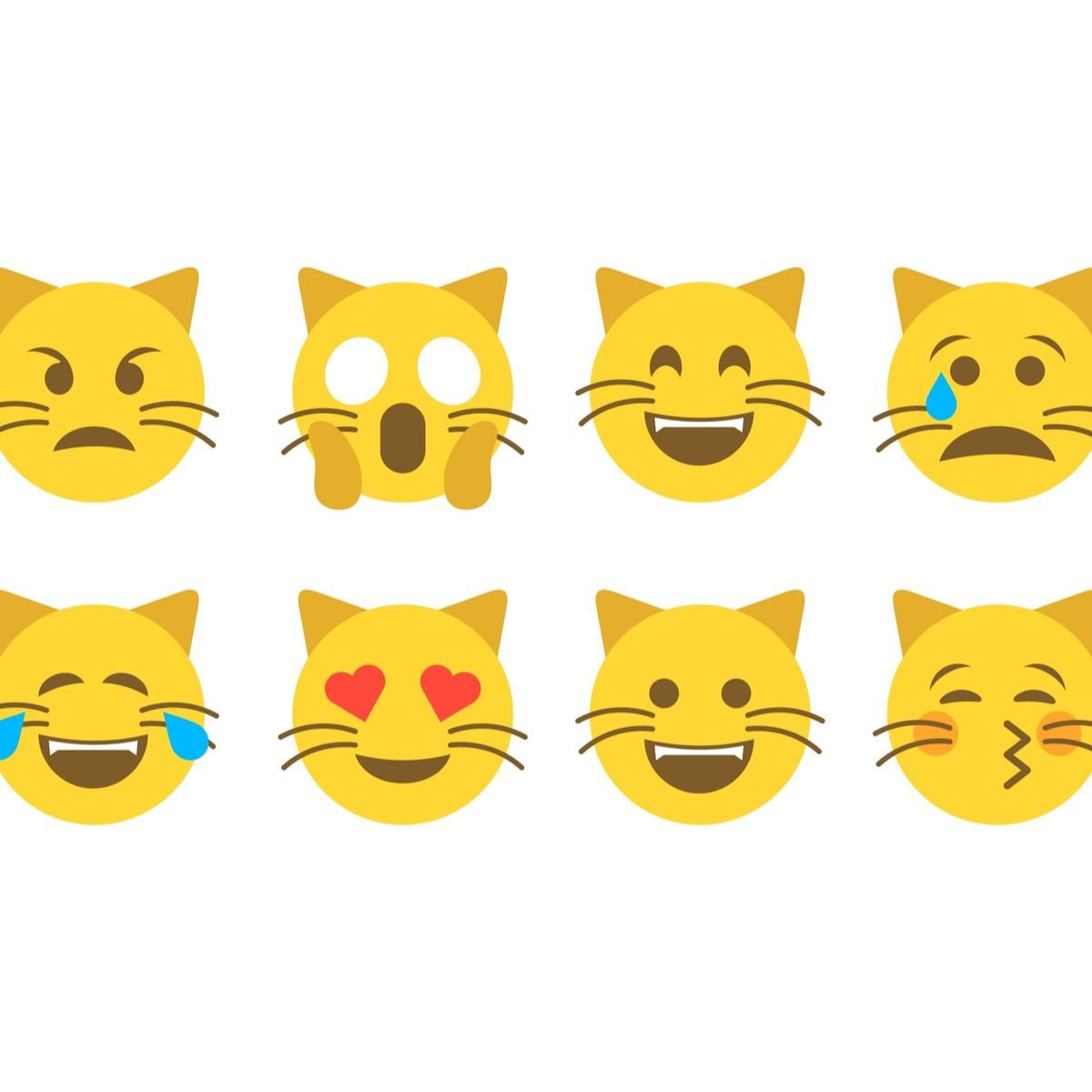 Cat Emoji - xoNecole