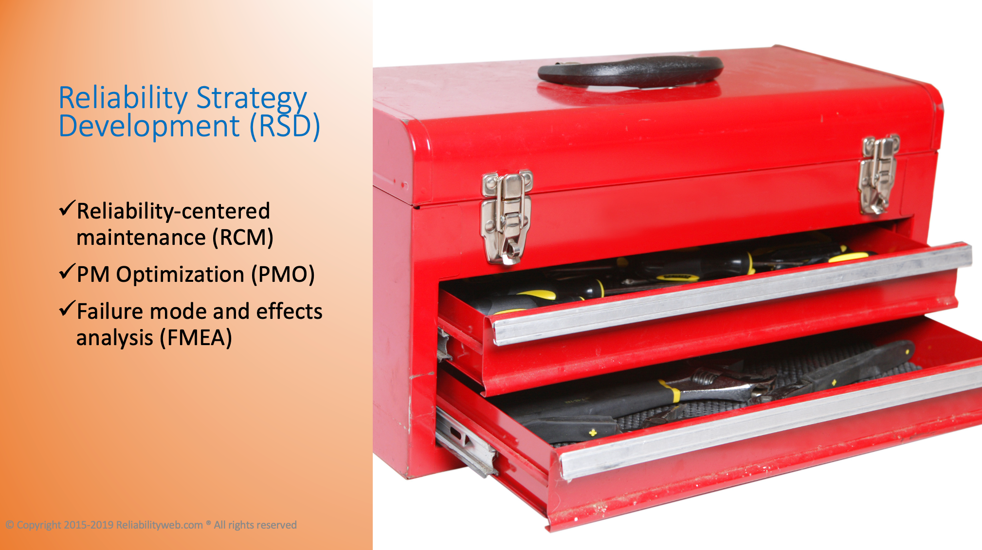 Reliability strategy development (RSD)