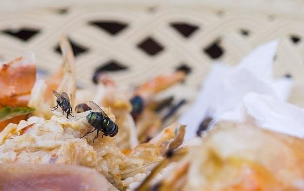 2 202 e1511771979434