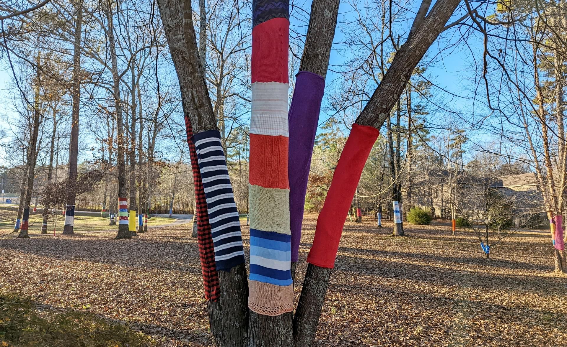 This Alabama woman wraps the trees in her yard in blankets each Christmas.  Here's why - It's a Southern Thing