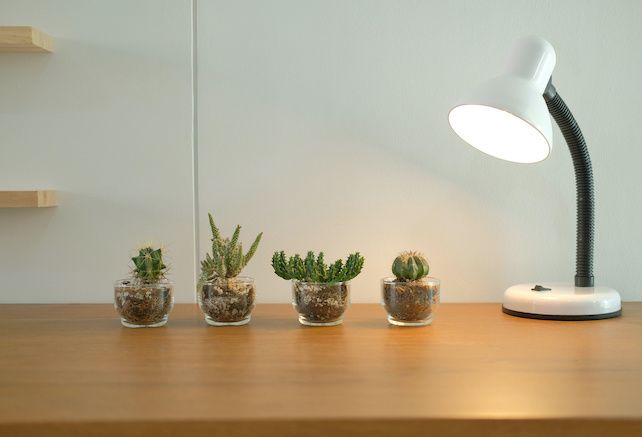 A DIY smart grow-light for just $37? Here's how to build one - Gearbrain
