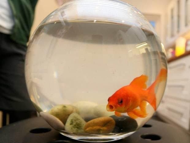 2cefe442 3c8b 4df2 8570 4f82e17c7cbd