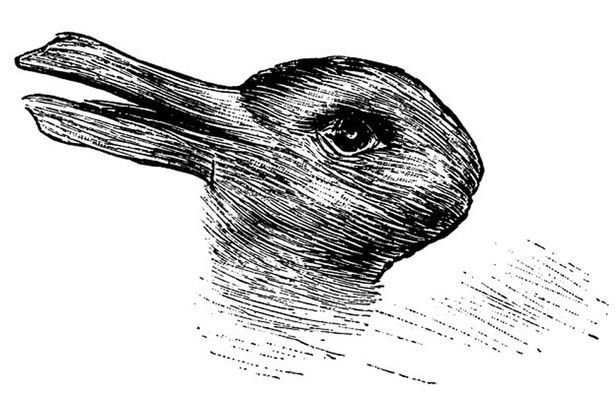 DuckRabbit