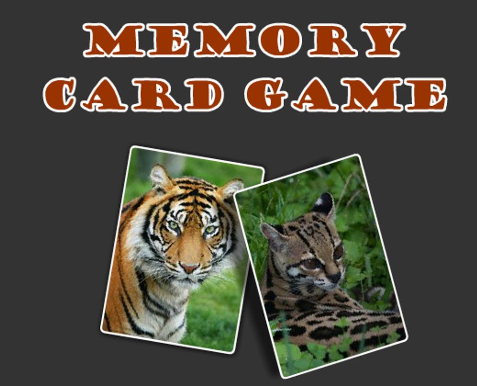 Wild Cats Memory Card Game