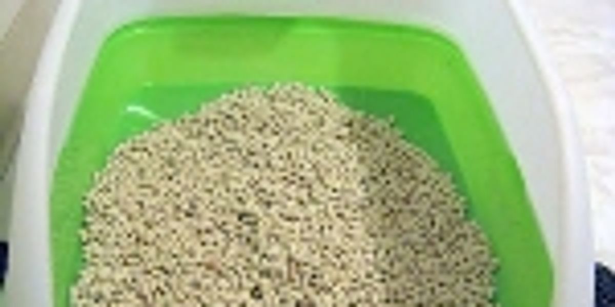 Review Breeze Litter System Love Meow