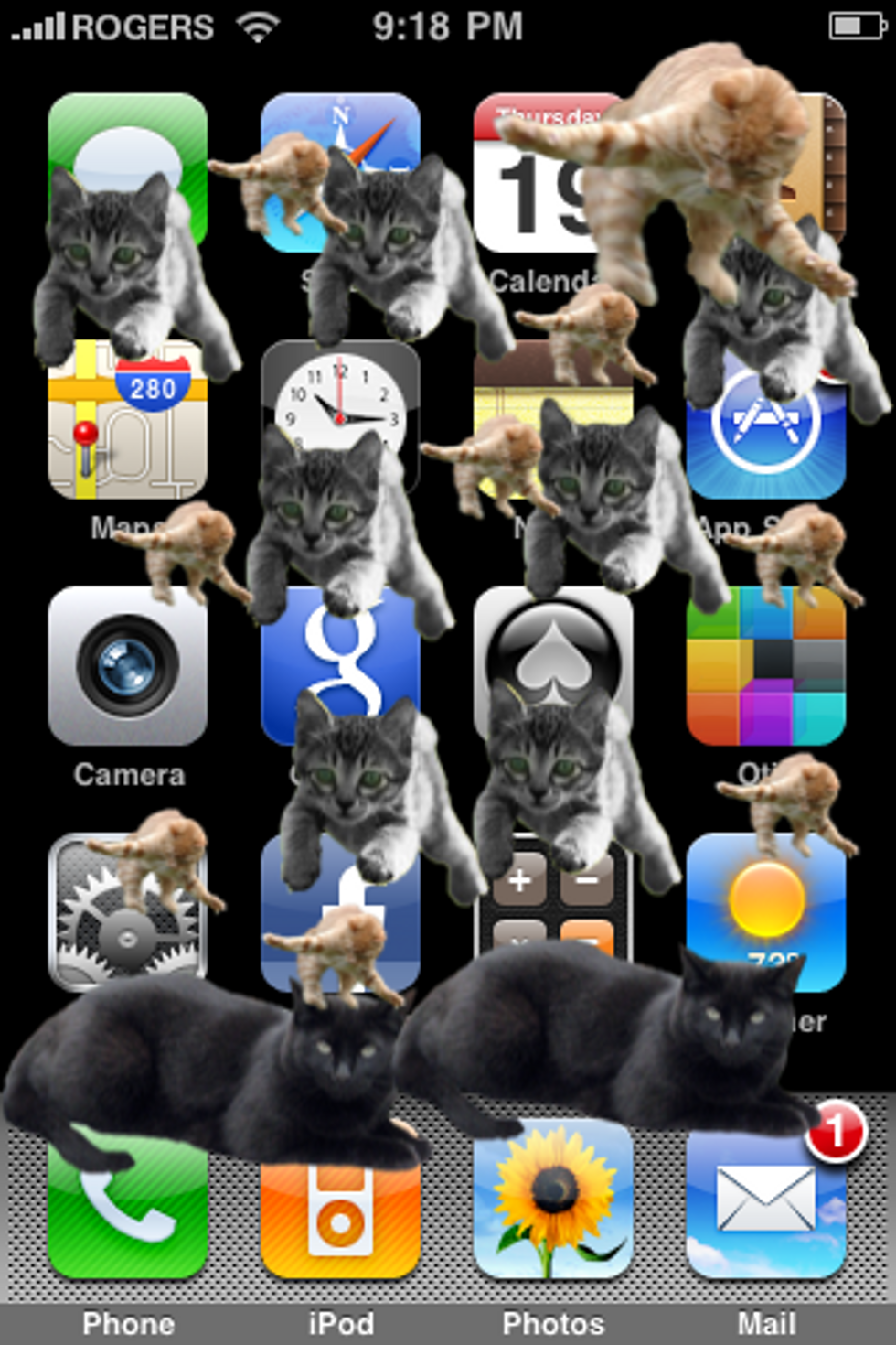 CatPaint Cat iPhone App