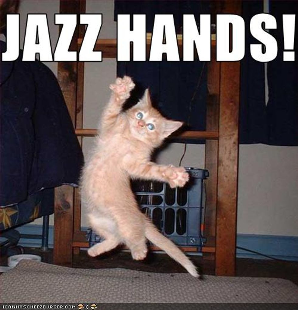 Lolcat Cat and Kitten Jazz Hands Edition