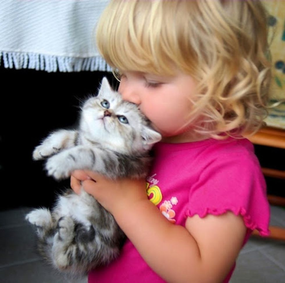 Girl Kisses Kitten Cute Cat Picture
