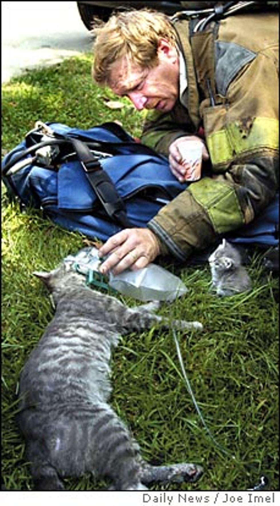 Firefighter Rescued Cat from Flames