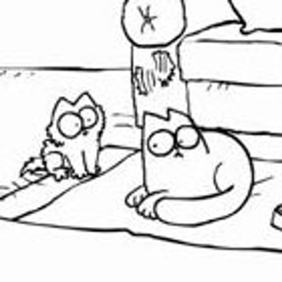 Simon's Cat in 'Double Trouble' - Love Meow