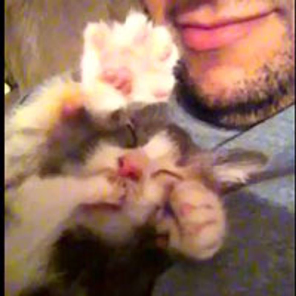 Teeny Tiny ToeSucking Kitty Love Meow