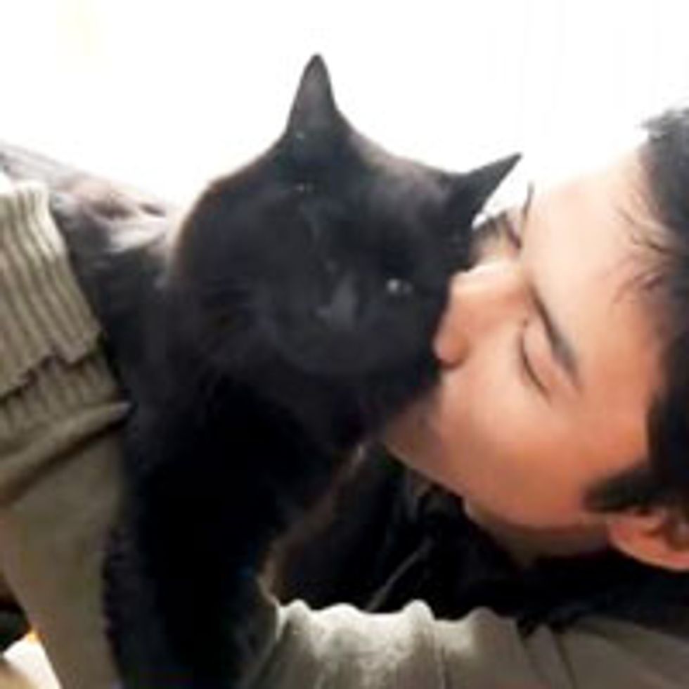 Cats Give Hooman Dad Love, Kisses and Headbumps
