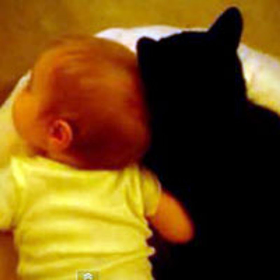 Tuxedo Cat and His Little Human Buddy