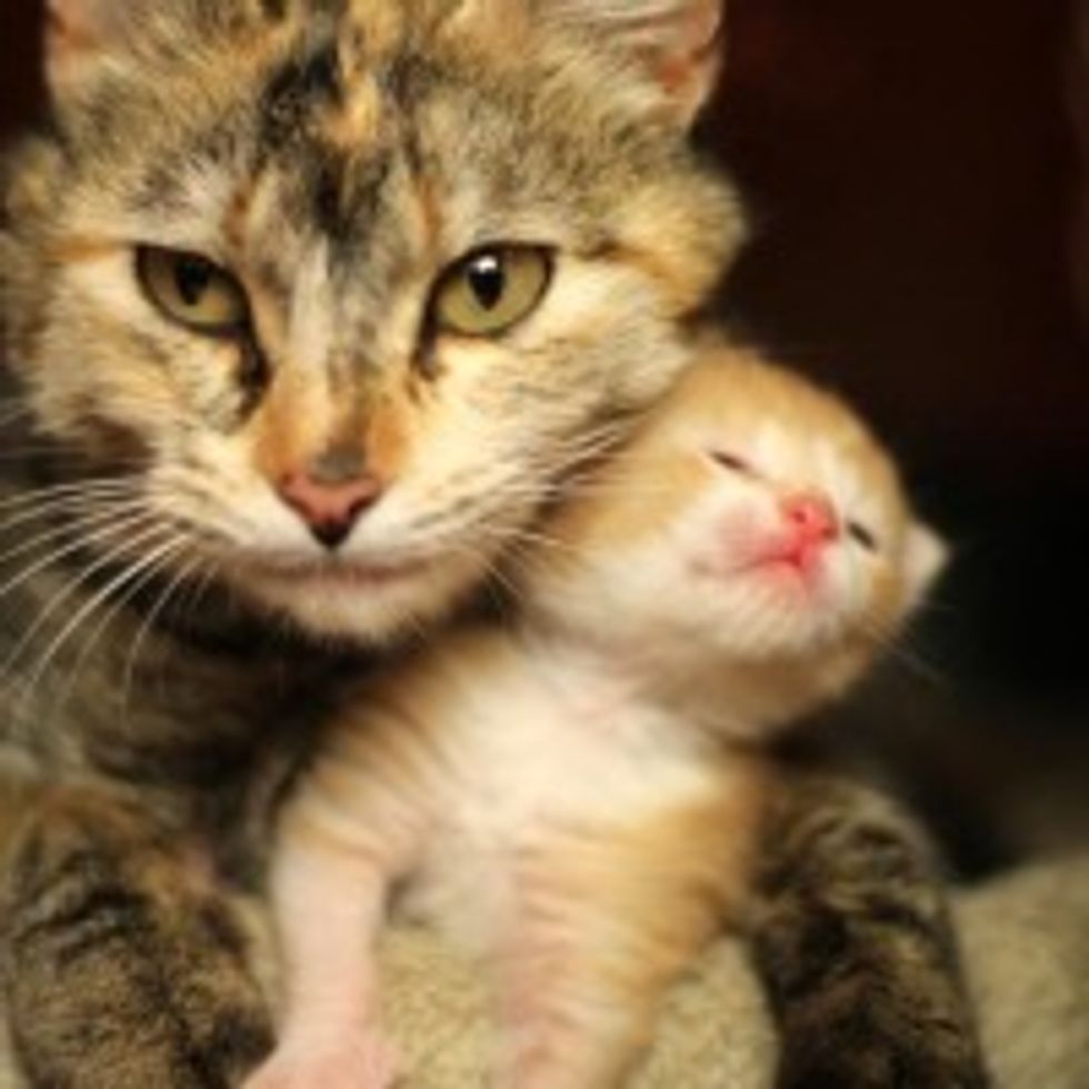 Mama Will Protect You!