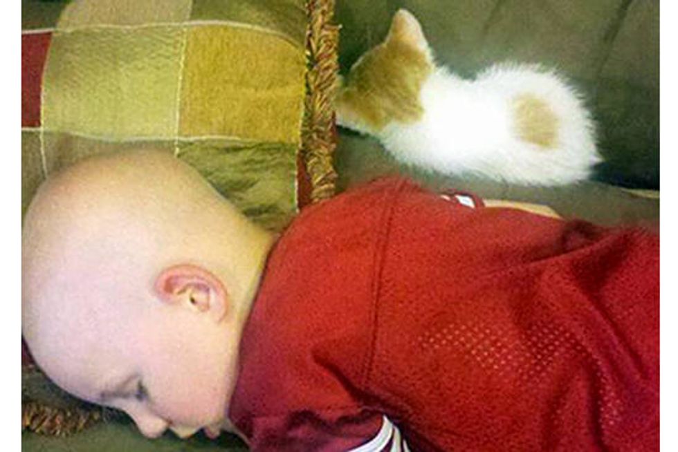 Kitty Gives Boy with Cancer New Hope