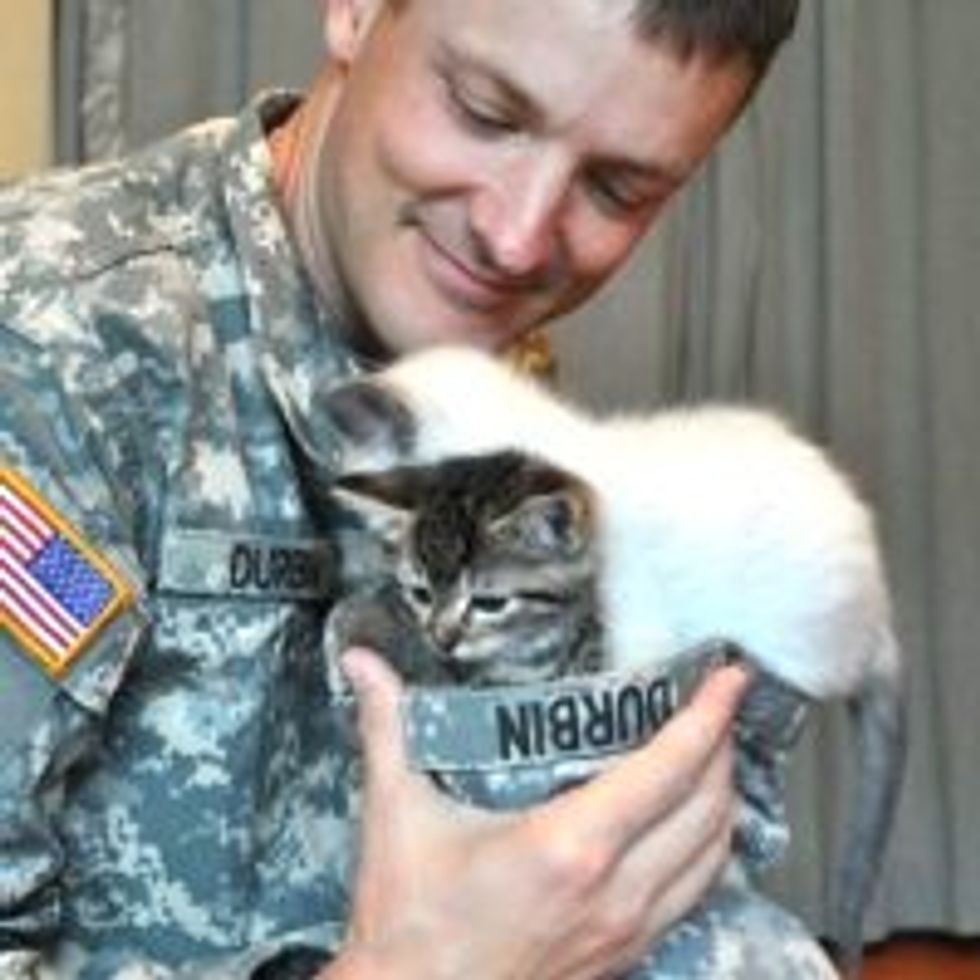Foster Kitties Get Visitor in Uniform